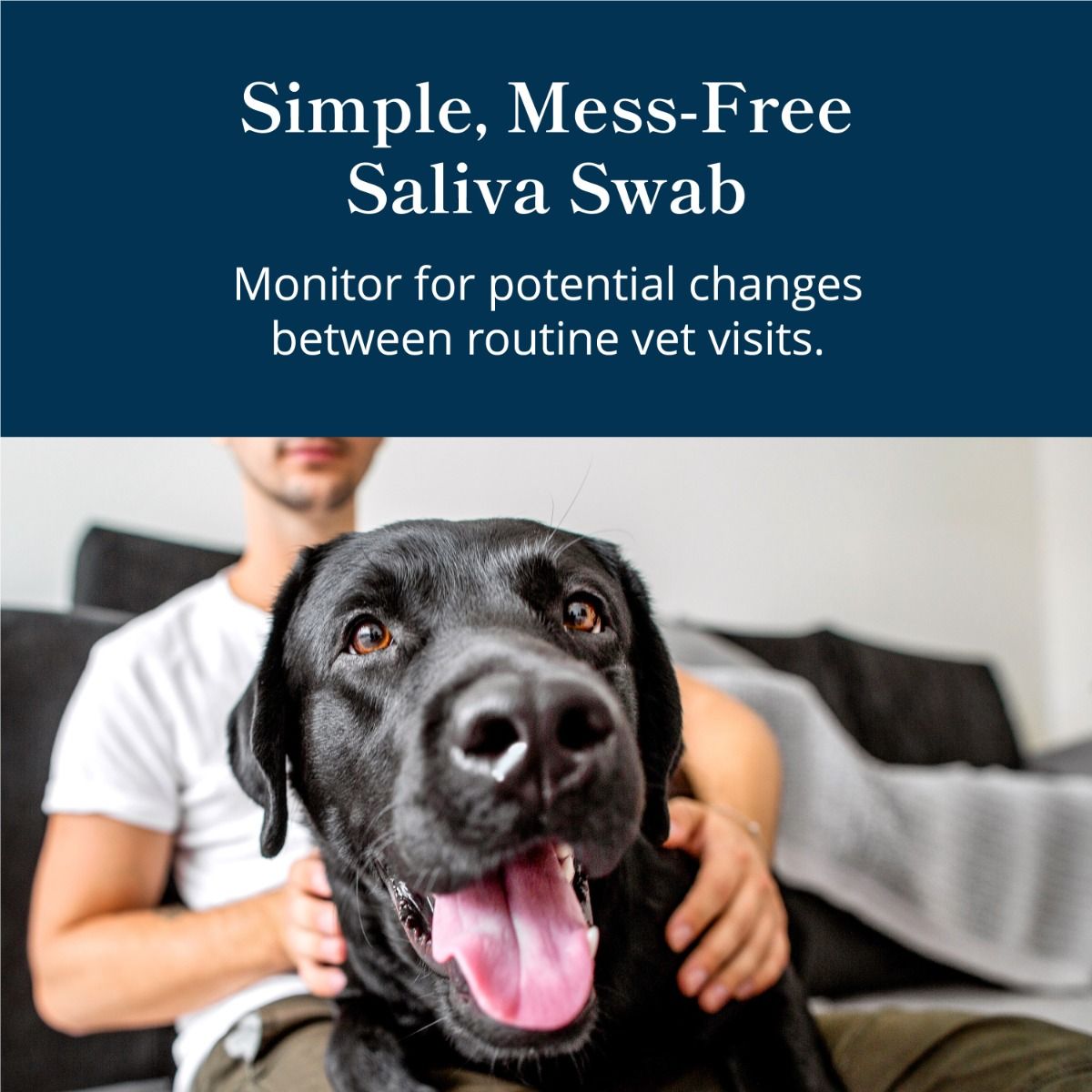 4-petivity-at-home-kidney-health-testing-kit-dog-saliva-swab.jpg