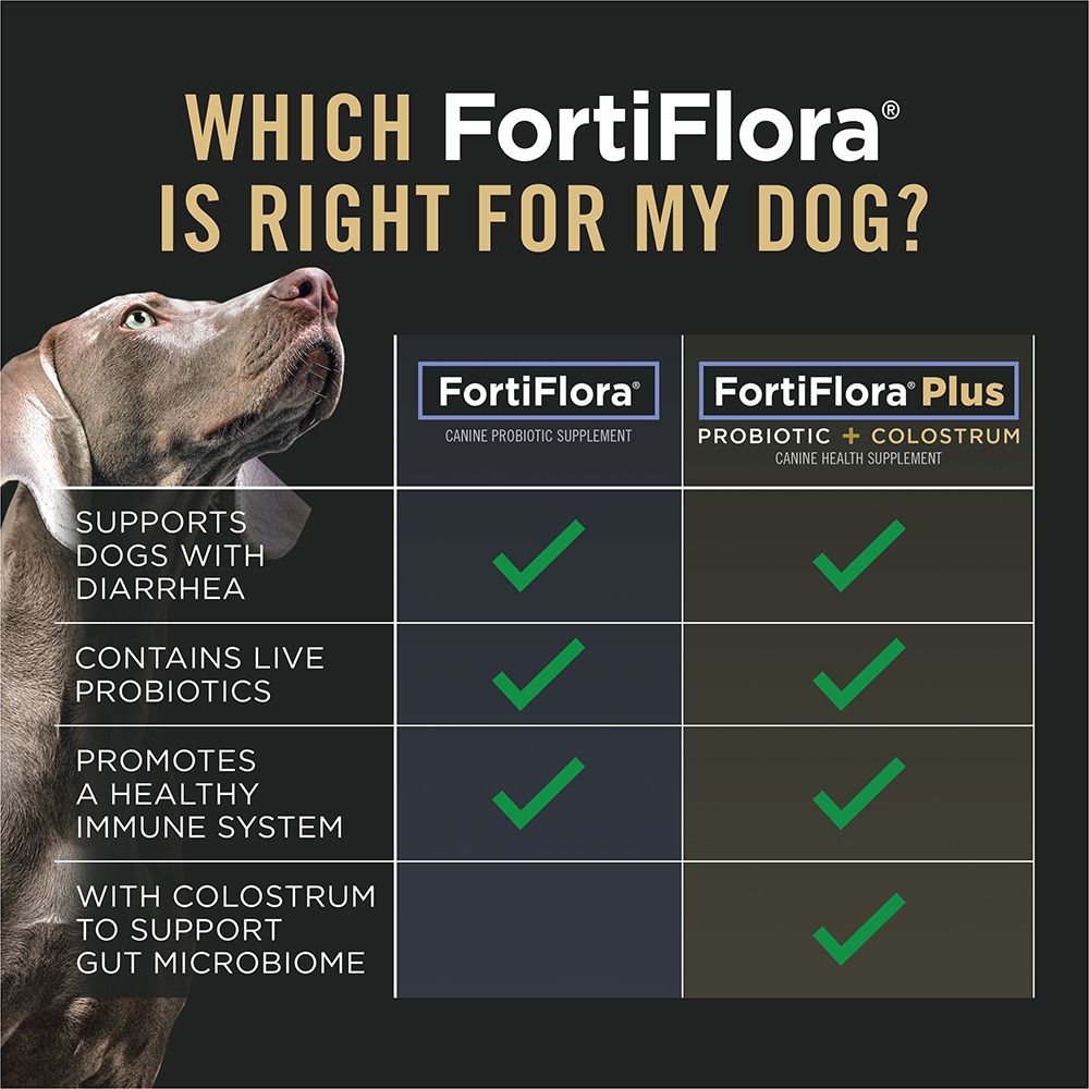 5-purina-pro-plan-veterinary-supplements-fortiflora-plus-probiotic-colostrum-which-fortiflora.jpg
