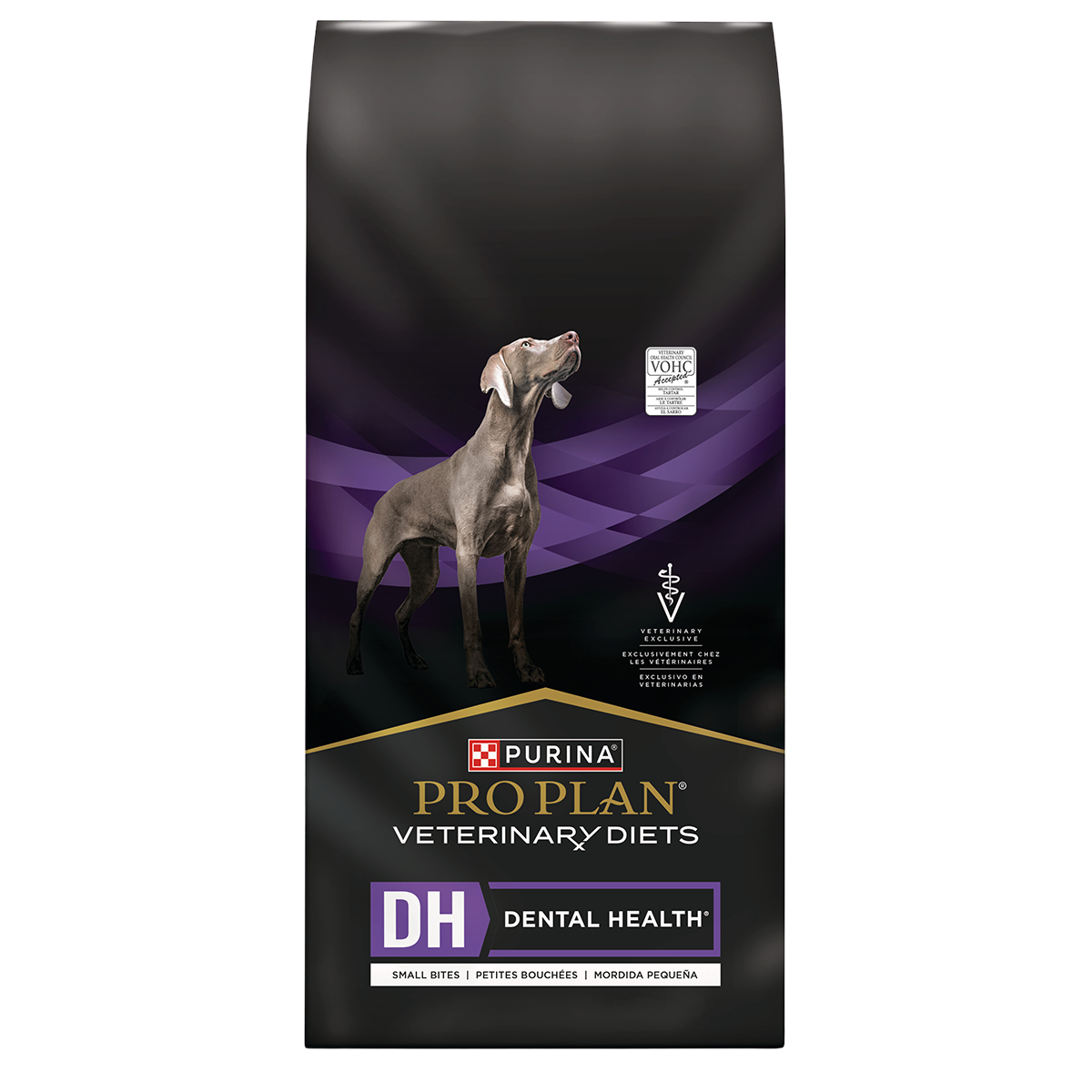 canine_dental_health_small_bites.png