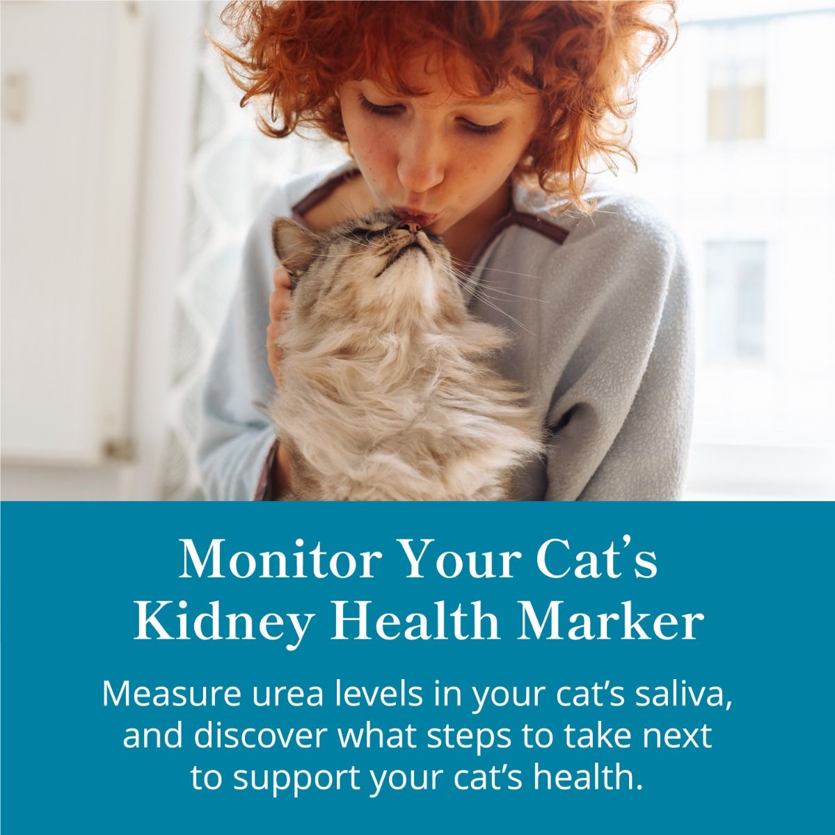 petivity-at-home-kidney-health-testing-kit-cat-monitor-urea.jpg