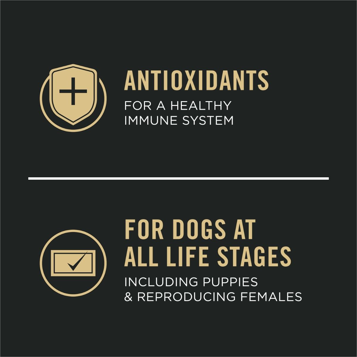 pp_dry_dog_sport_2616_cknrc_fb3.jpg