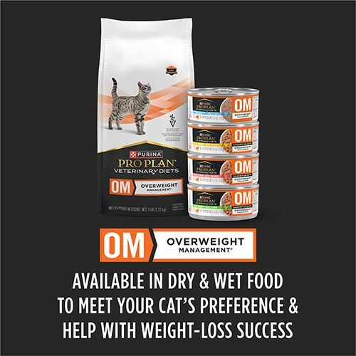 ppvd_cat_wet_om_ss_ckn_5_500x500.jpg