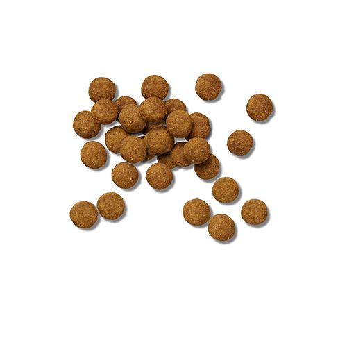 ppvd_dog_dry_dh_sb_product_500x500.jpg