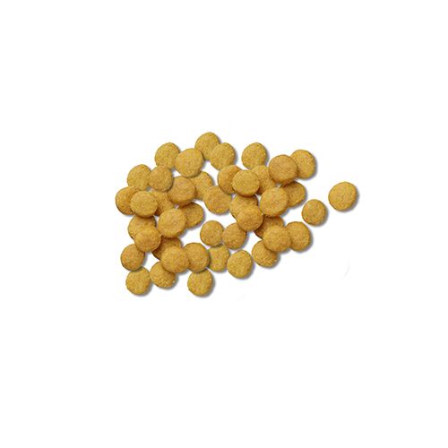 ppvd_dog_dry_nf_product_500x500.jpg