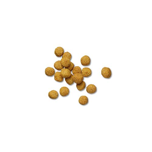 ppvd_dog_dry_om_product_500x500.jpg