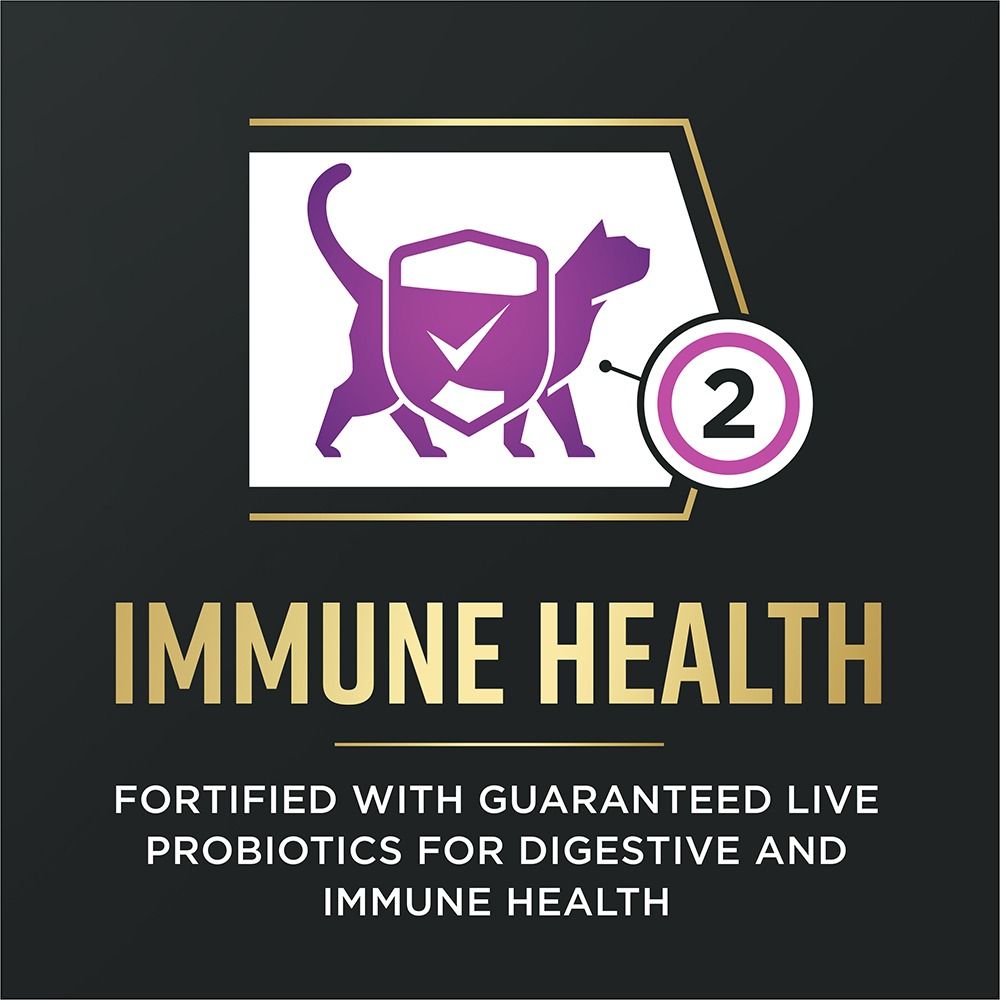 pro-plan-advantedge-senior-support-adult-dry-cat-food-immune-health.jpg