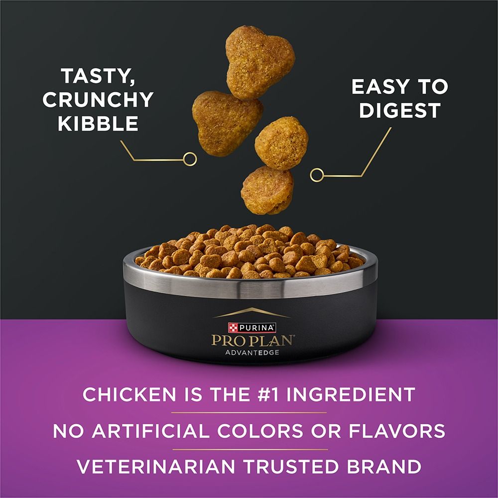 pro-plan-advantedge-senior-support-adult-dry-cat-food-tasty-chicken.jpg