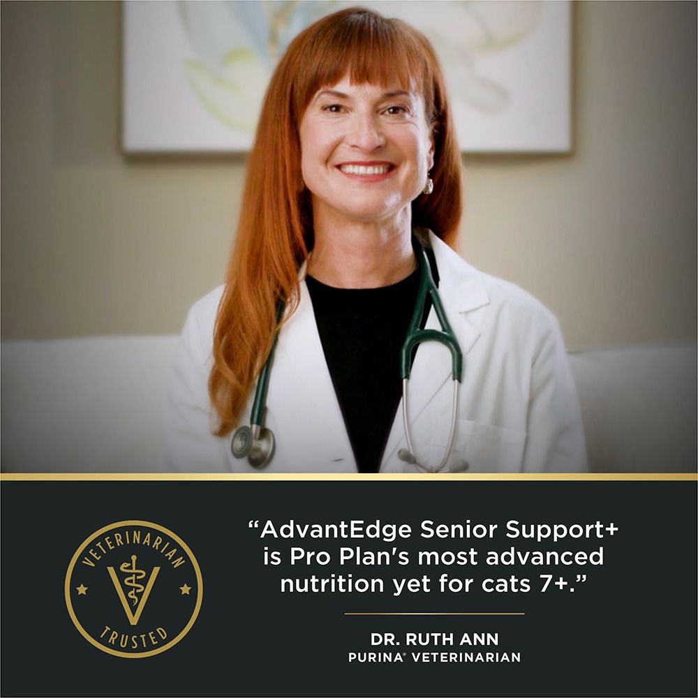 pro-plan-advantedge-senior-support-adult-dry-cat-food-veterinarian-recommended.jpg