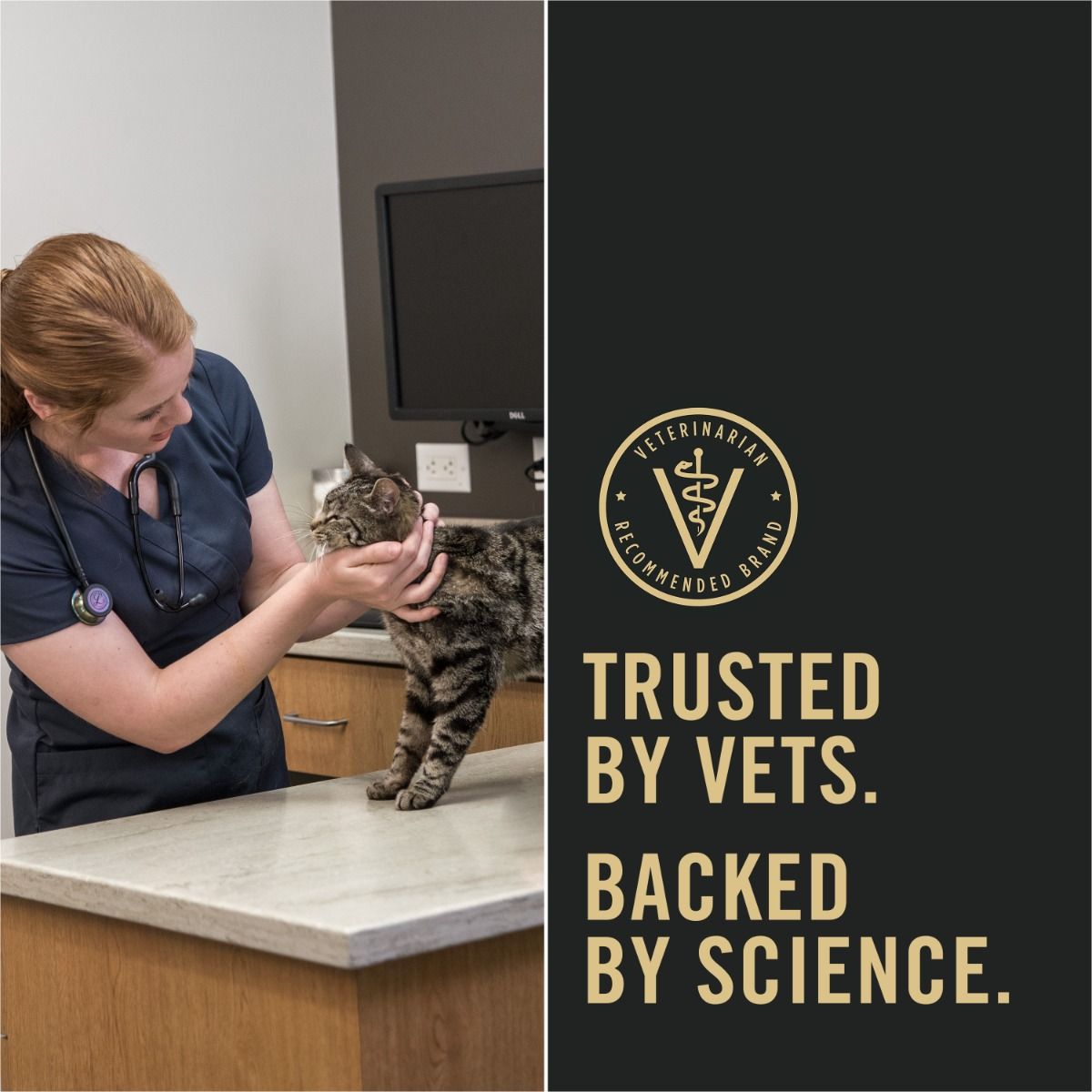 pro-plan-cat-food-trusted-by-vets_2.jpg