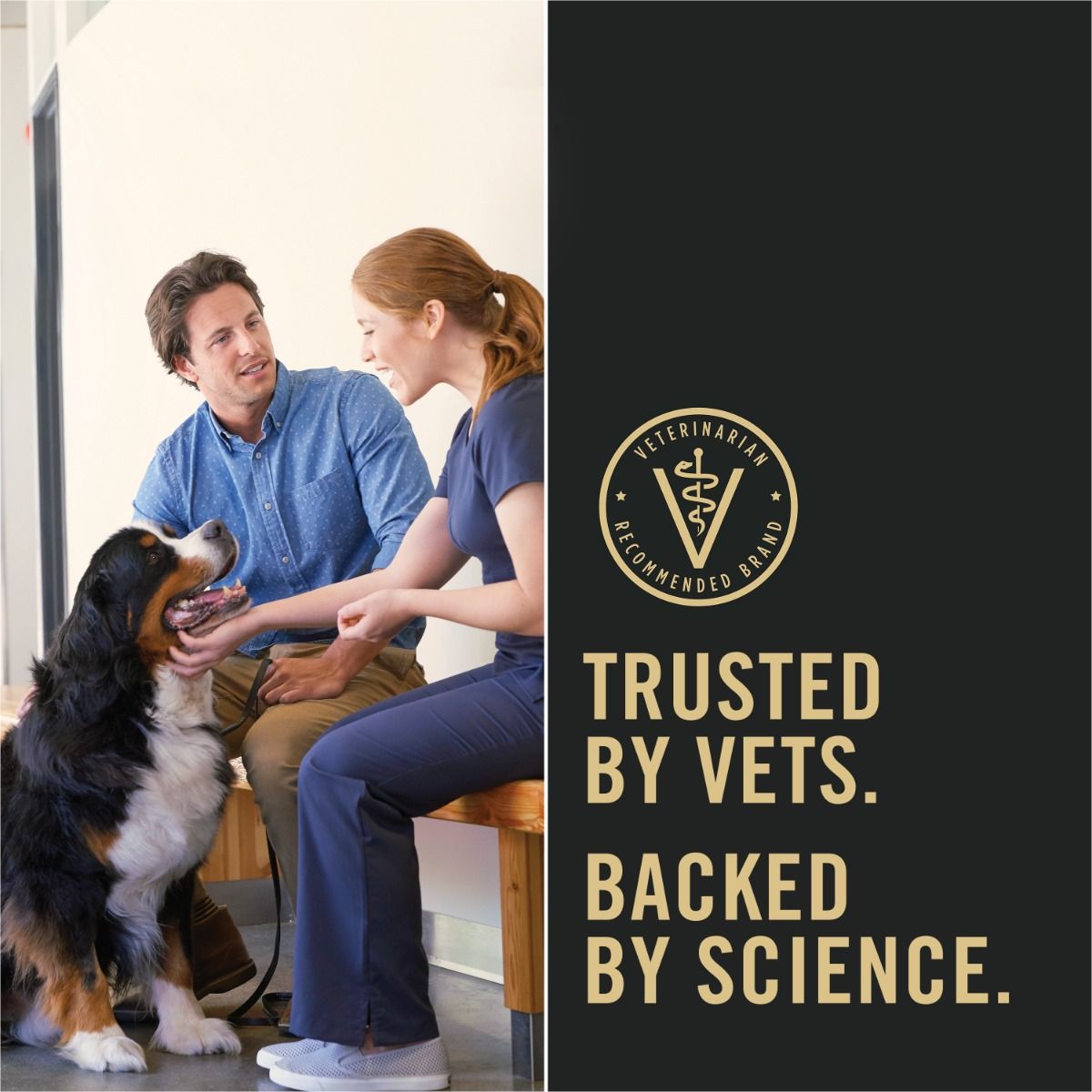 pro-plan-dog-food-trusted-by-vets_6.jpg
