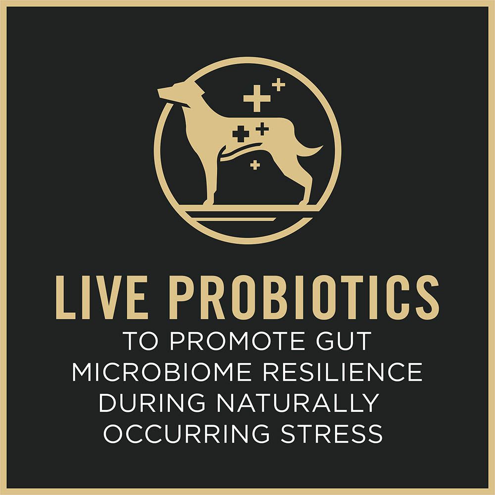 pro-plan-small-breed-shredded-blend-chicken-rice-dry-dog-food-live-probiotics_1.jpg