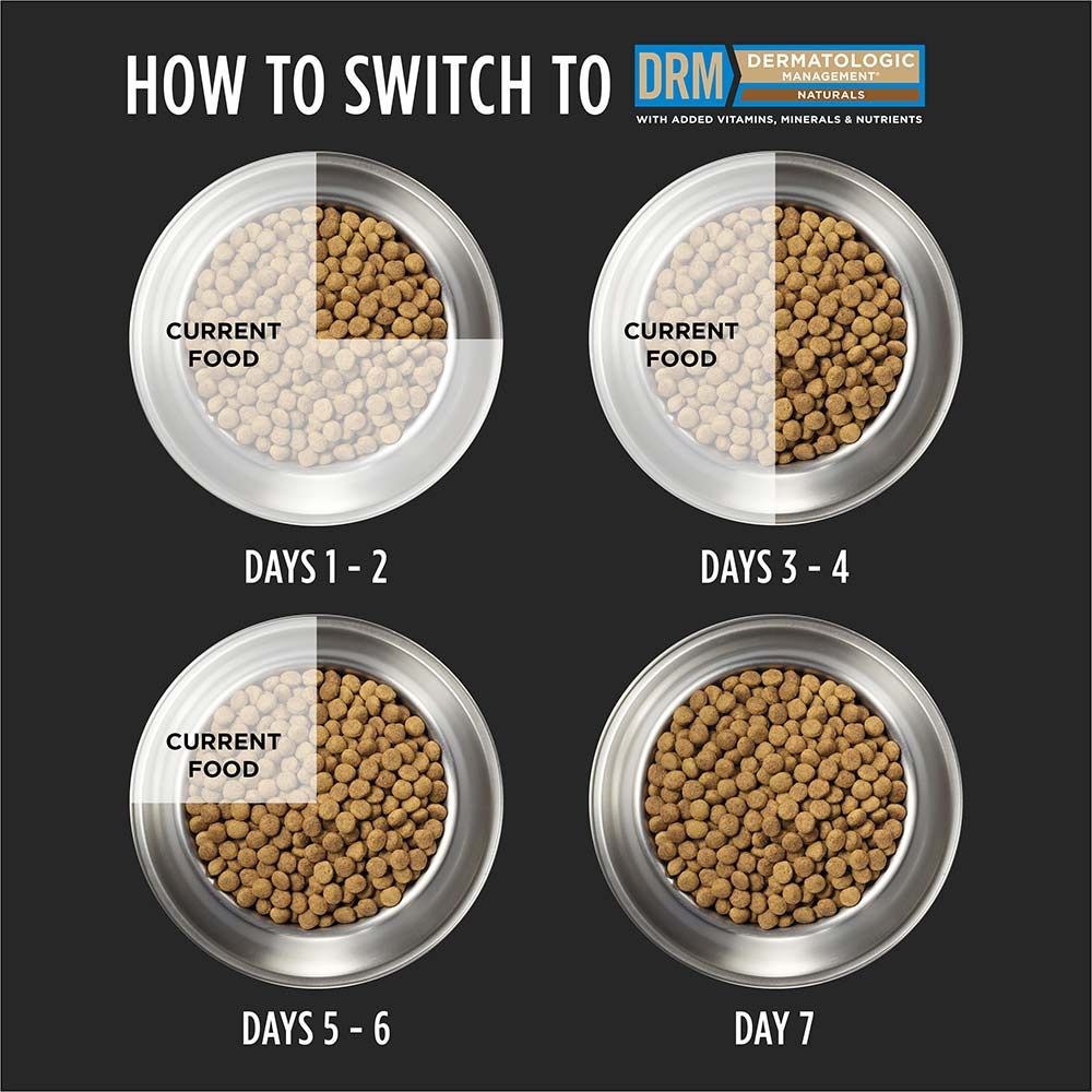 pro-plan-veterinary-diets-drm-how-to-switch.jpg