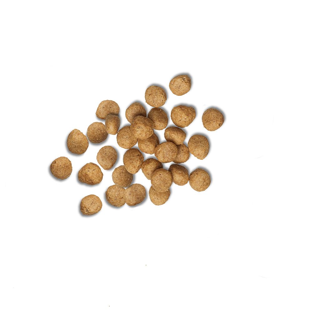 pro-plan-veterinary-diets-en-gastroenteric-naturals-kibble.jpg