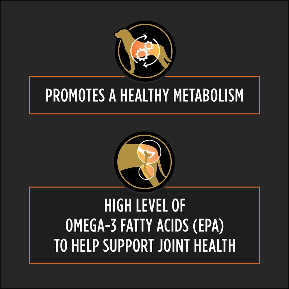 pro-plan-veterinary-diets-om-metabolic-response-joint-mobility-healthy-metabolism.jpg