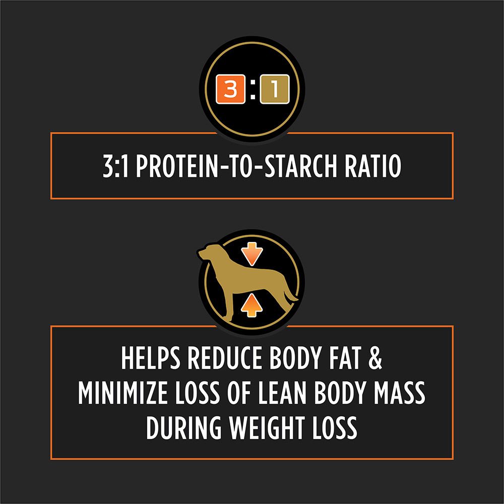 pro-plan-veterinary-diets-om-metabolic-response-joint-mobility-reduce-body-fat.jpg