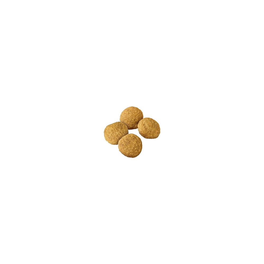 pro_plan_adult_large_breed_dry_dog_food_kibble.jpg