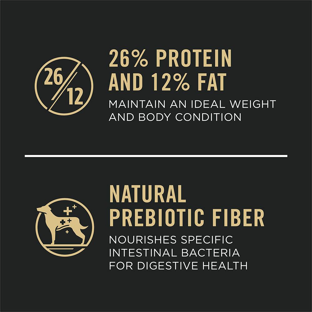 pro_plan_adult_large_breed_dry_dog_food_protein_fat_prebiotic_fiber.jpg