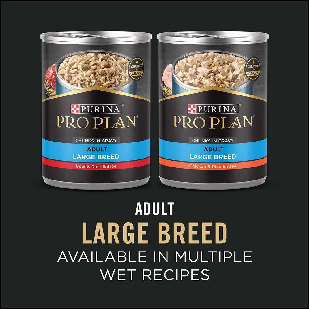 pro_plan_adult_large_breed_wet_dog_food_recipes.jpg