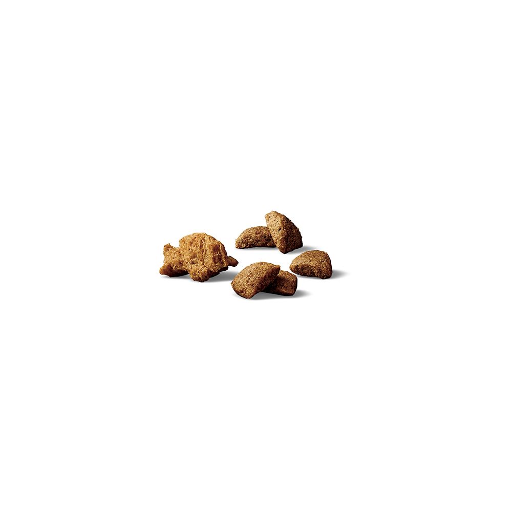 pro_plan_complete_essentials_dry_dog_food_kibble.jpg
