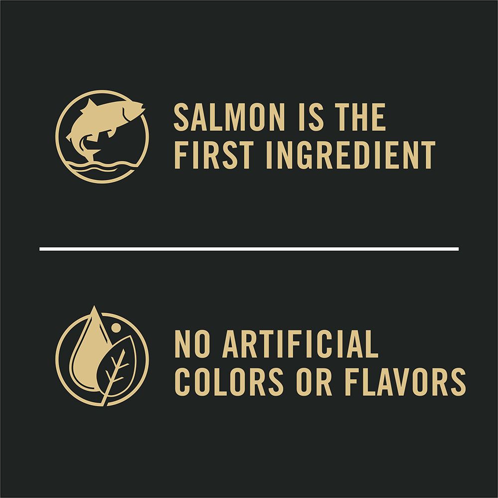 pro_plan_complete_essentials_dry_dog_food_salmon_no_artificial_flavors.jpg