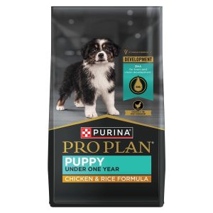 Development Chicken & Rice Dry Puppy Food