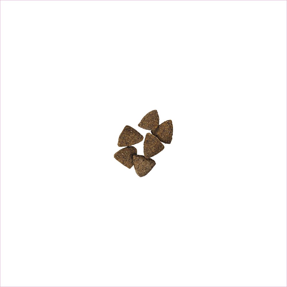 pro_plan_sensitive_skin_stomach_dry_dog_food_kibble.jpg