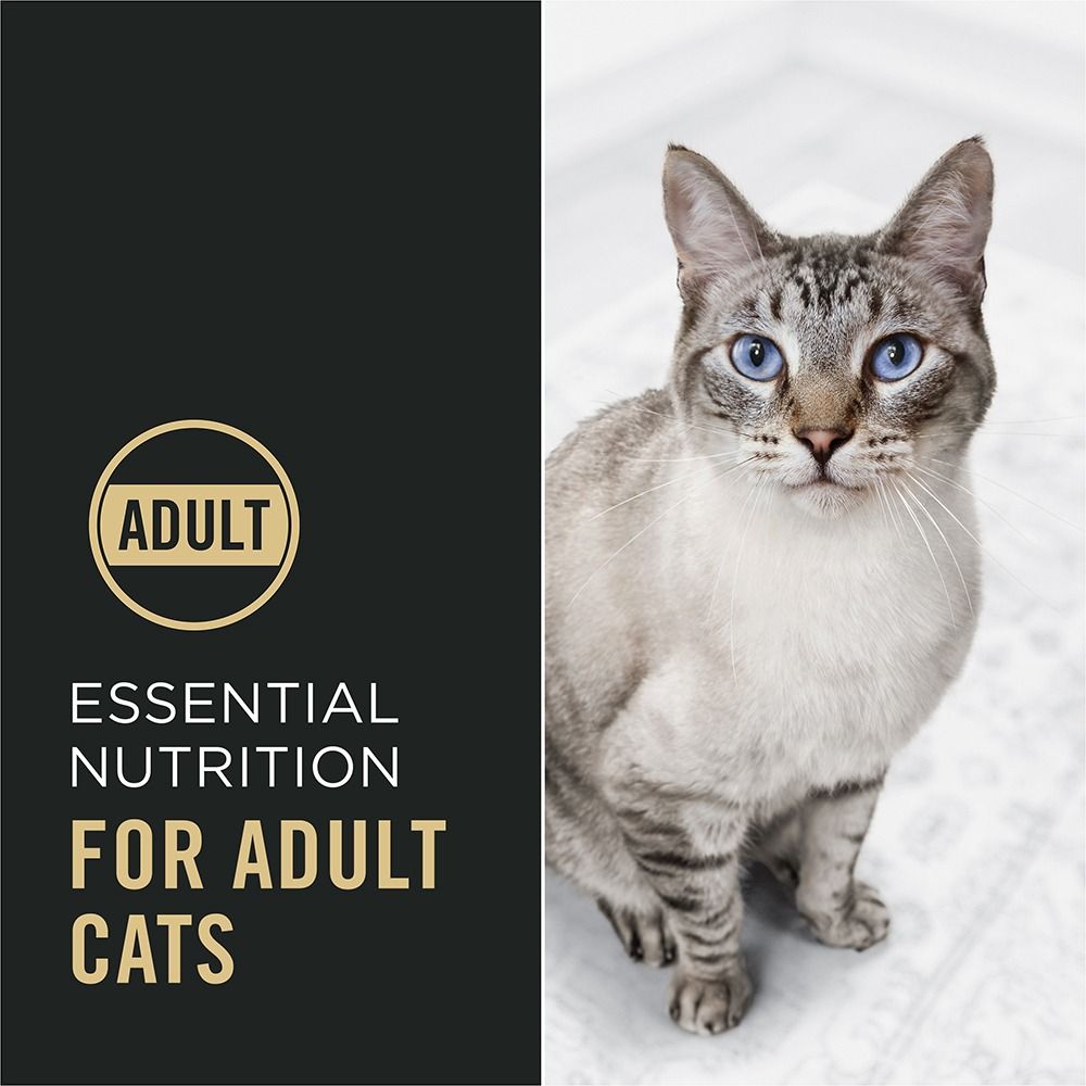 purina-pro-plan-complete-essentials-adult-dry-cat-food-adult-nutrition_1.jpg