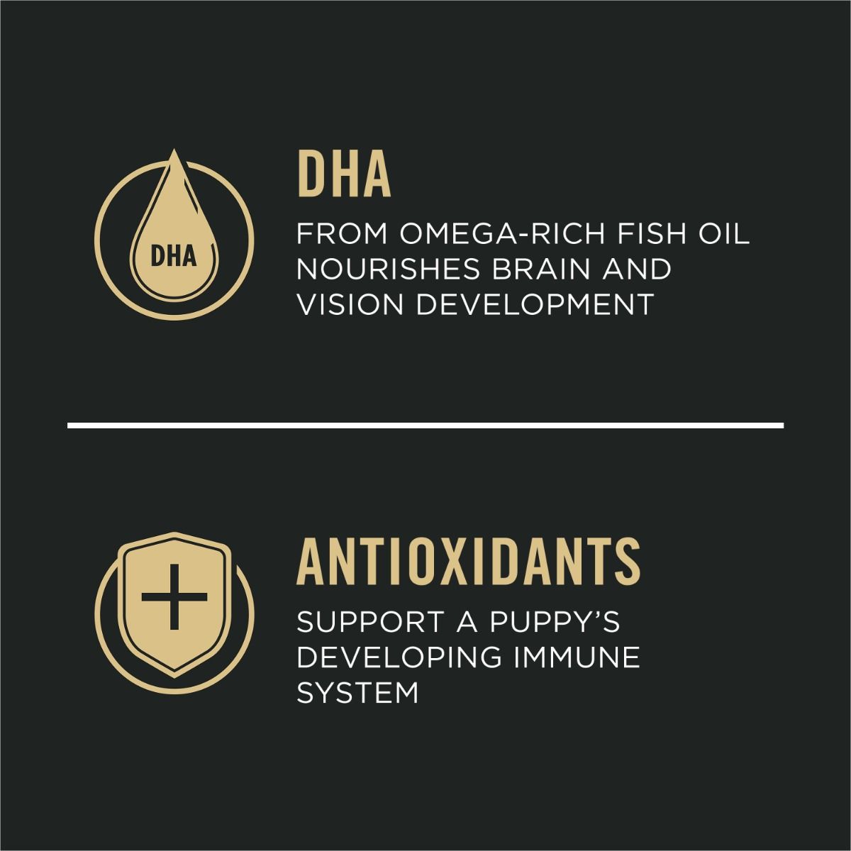 purina-pro-plan-development-puppy-lamb-rice-dry-dog-food-antioxidant.jpg
