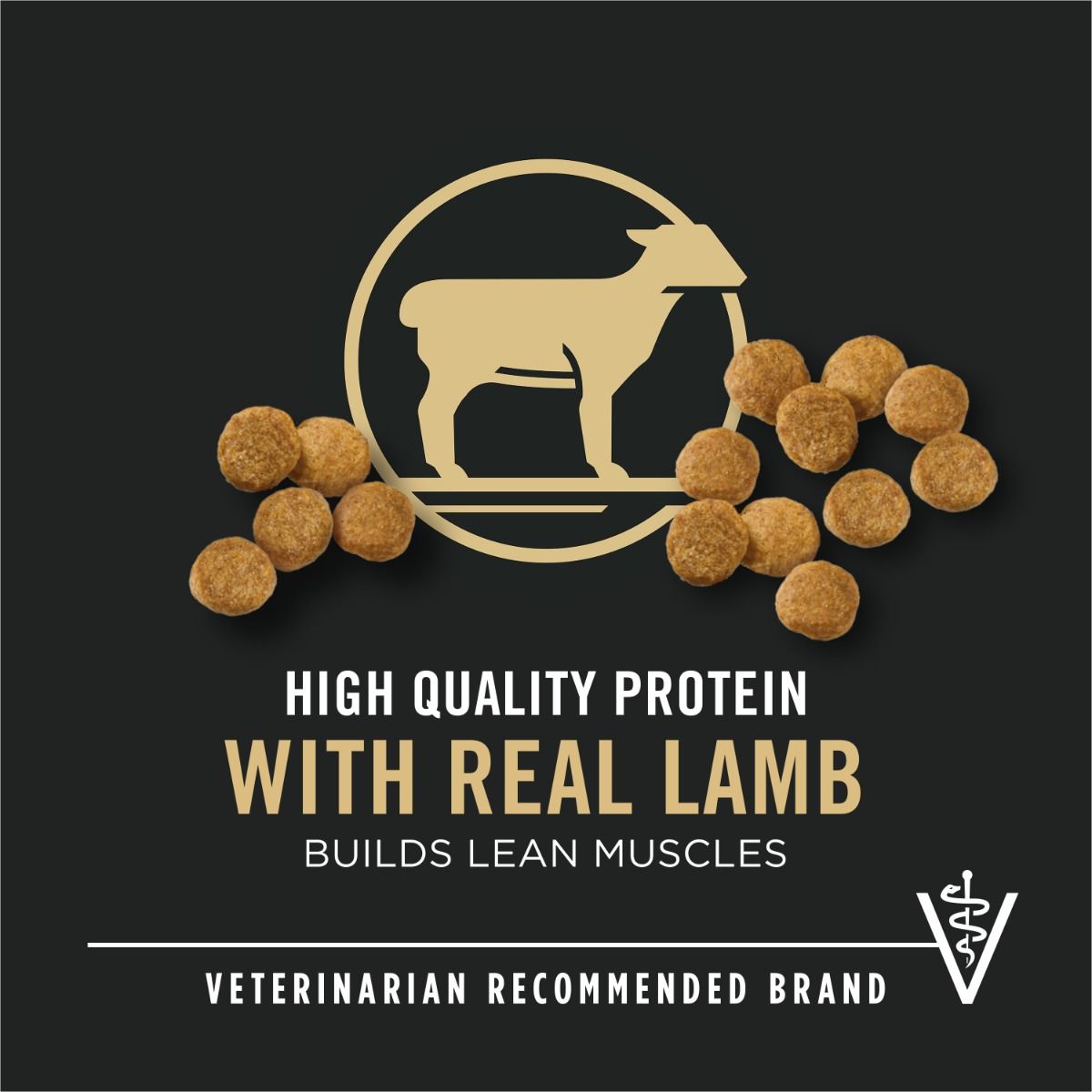purina-pro-plan-development-puppy-lamb-rice-dry-dog-food-real-lamb.jpg