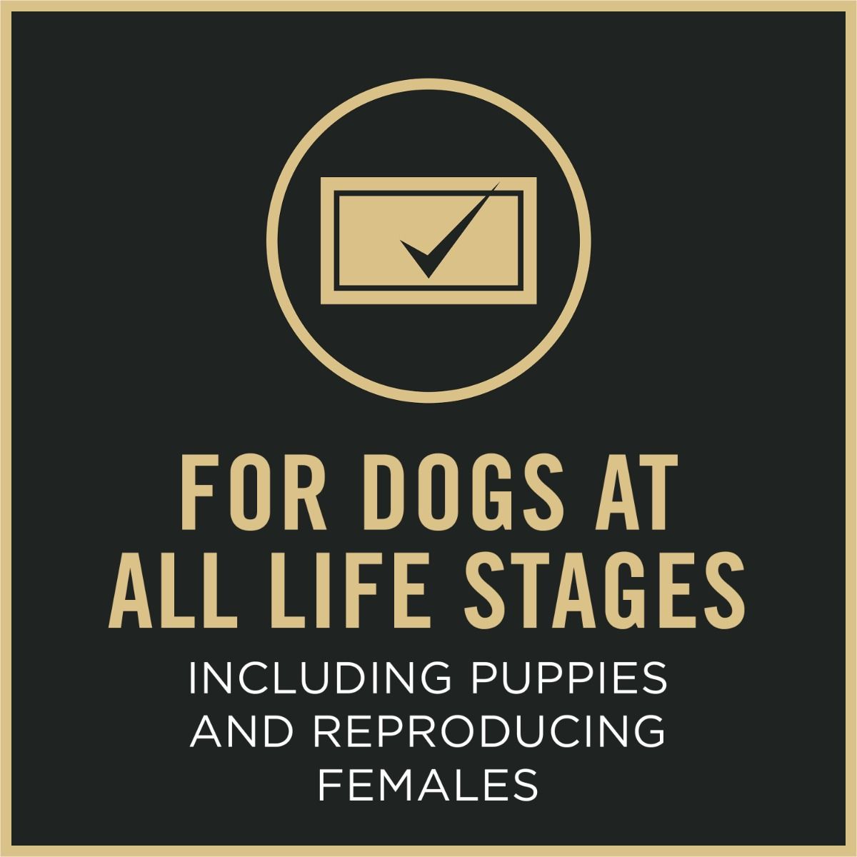purina-pro-plan-sport-performance-30-20-beef-bison-dry-dog-food-all-lifestages.jpg