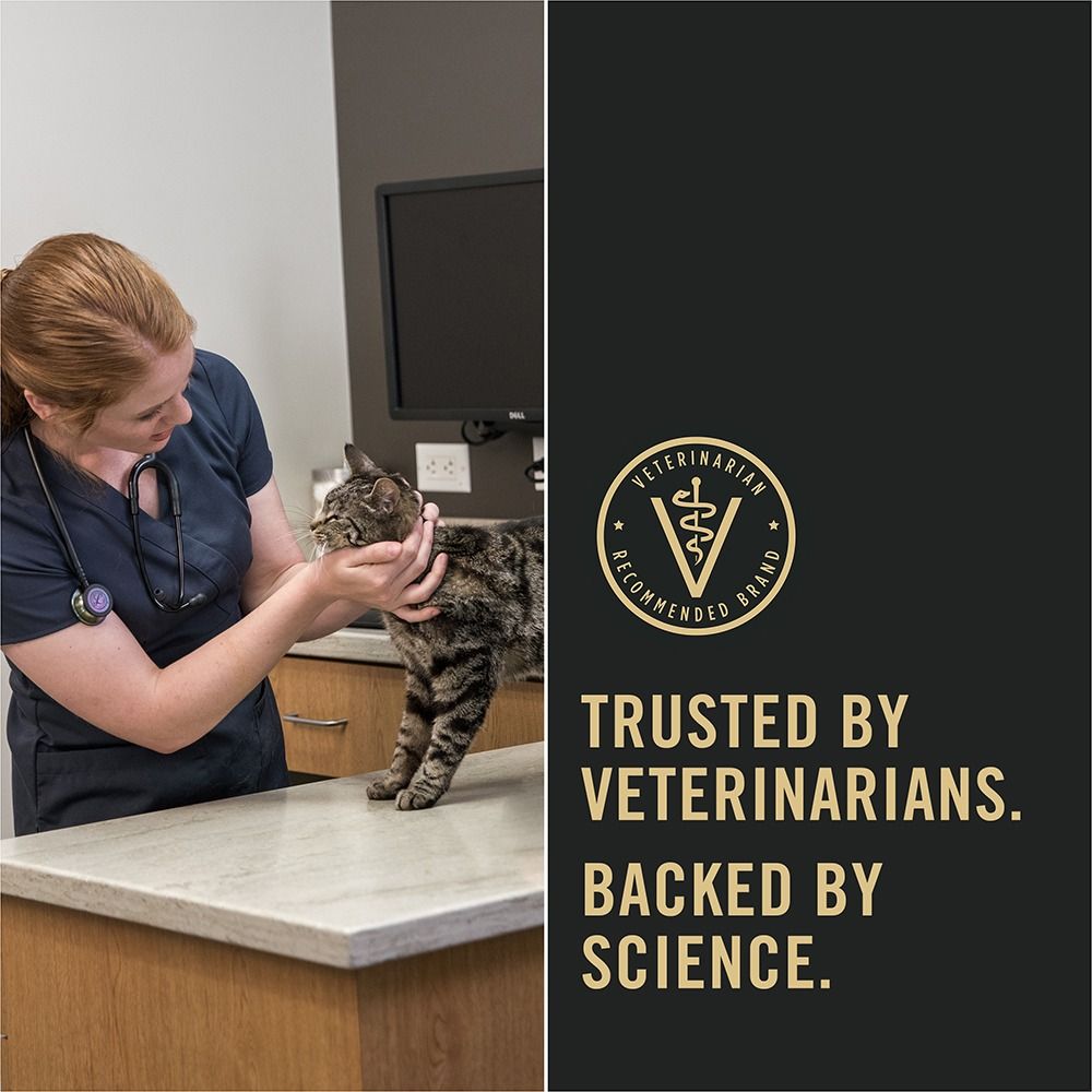 purina-pro-plan-veterinary-diets-nf-kidney-function-dry-cat-food-vet-trusted_1.jpg